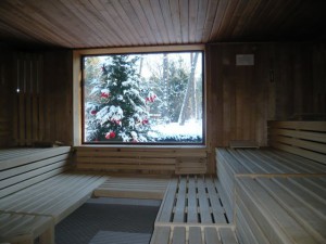 Winter2009-2010-Sauna-16